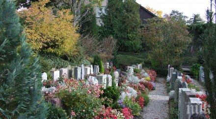 криза отвъдното свършват свободните места гробищата големите градове