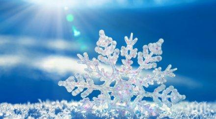 учен отглежда снежинки идентични близнаци