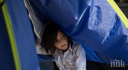 годишните вече участват схемата трафик хора уреждат семействата