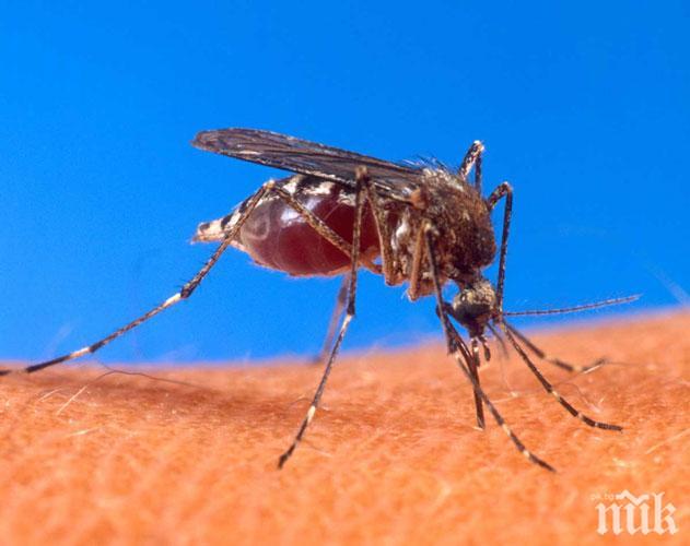 Британското правителство и Бил Гейтс ще предоставят 4 млрд. долара за борба с маларията
