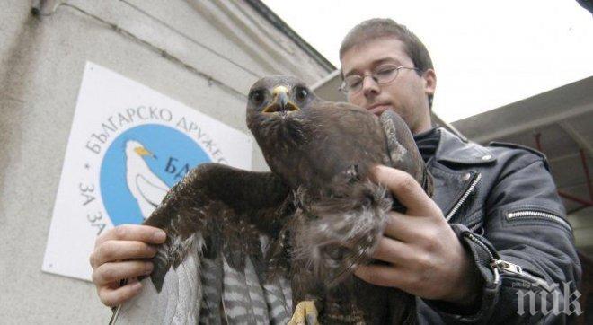 Експерти от РИОСВ спасиха премръзнал мишелов