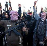 Германското разузнаване предупреди за увеличение на ислямистите и крайнодесните екстремисти