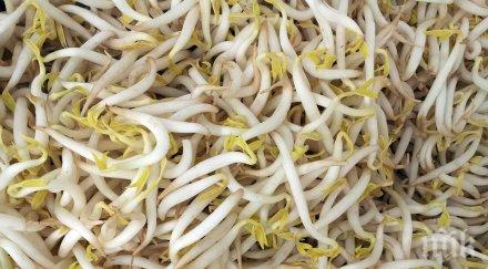 шест храни бягате чума