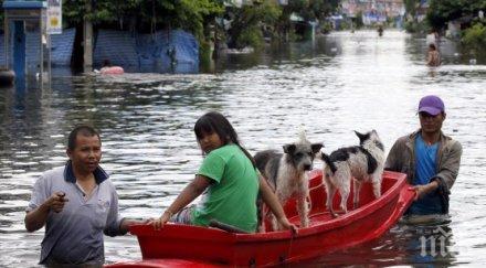 броят жертвите студа тайланд достигна души