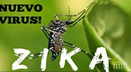 какви последствията зика вируса