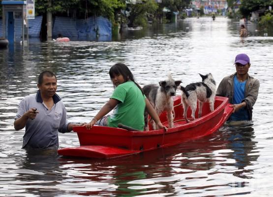Броят на жертвите на студа в Тайланд достигна 14 души