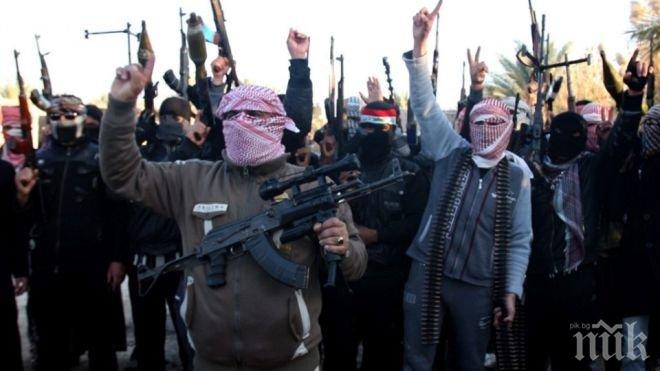 Германското разузнаване предупреди за увеличение на ислямистите и крайнодесните екстремисти