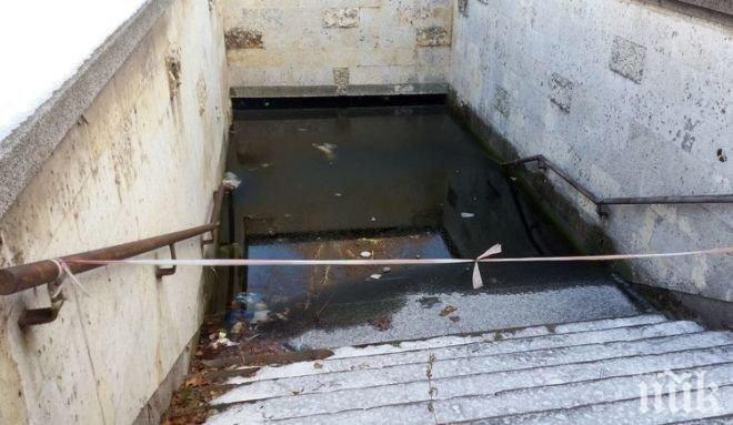 Риба се завъди в наводнен подлез в Хасково
