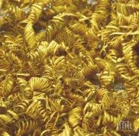 Митничари извадиха едно кило злато от гащите на румънка