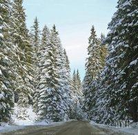 Пробив! Русия и България активизират сътрудничеството в областта на туризма