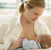  Учени: Кърменето ще спаси икономиката