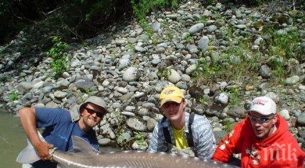 удължиха пет години риболова есетра дунав черно море