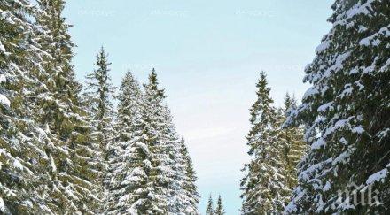 пробив русия българия активизират сътрудничеството областта туризма