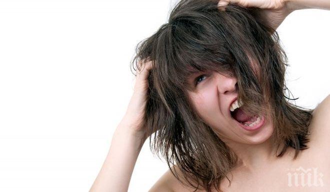 Въшки в пазарджишките училища