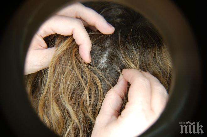 Въшлива майка подлуди детско отделение на болница