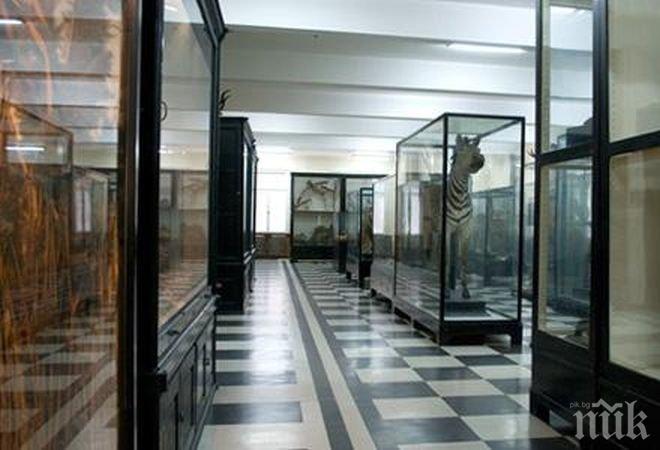 Министерството на културата приема заявки от цялата страна за присъединяване към „Нощ на музеите” 2016