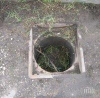 Обработват против гризачи шахтите и деретата във Варна
