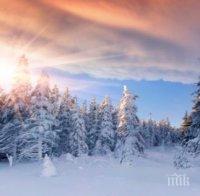 Синоптици от БАН: Малък Сечко почва със слънце, живакът се качва до 15 градуса