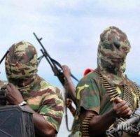 Боко Харам удари в Чад и в Нигерия