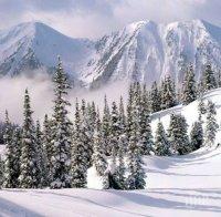 През януари ПСС е провела около 20 спасителни акции в планината