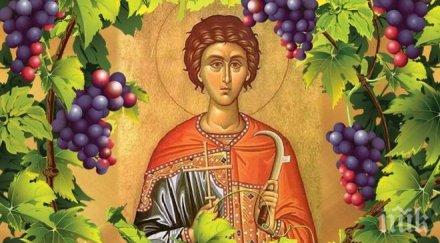 православната църква чества трифоновден