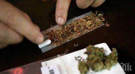 спипаха младеж марихуана