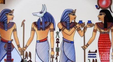 египетските власти арестуваха популярен карикатурист