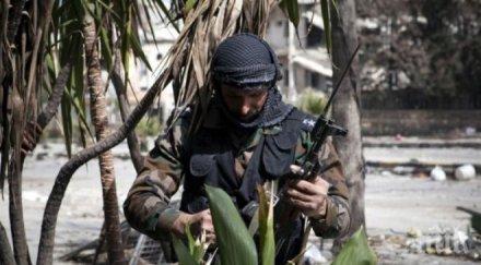 терористи отказали разбойничеството дагестан