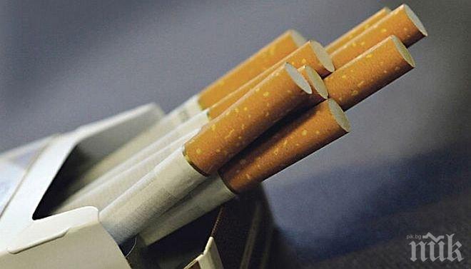 Контрабандни цигари засипаха магистралата след жестоката катастрофа край Карнобат