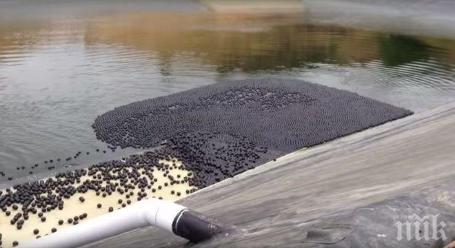 Водоемите в Великотърновска област са под строго наблюдение