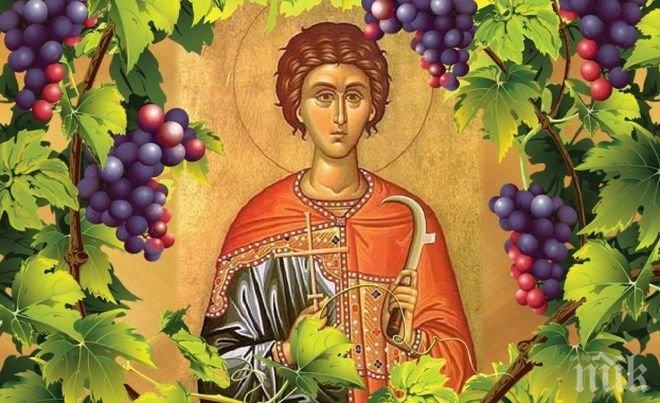 Православната църква чества Трифоновден