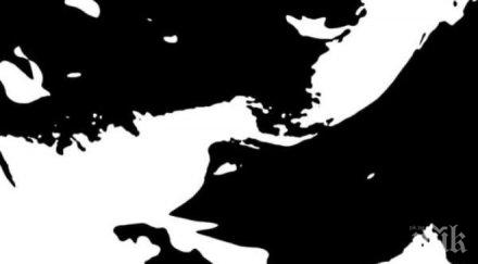 различаваш бебето снимката отговорът разкрива нещо изумително