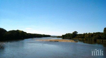 световния ден влажните зони пловдивчани наблюдаваха водолюбиви птици марица