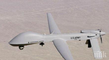 находчивост учат соколи нападат дронове холандия