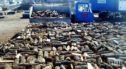 около 900 бука отсечени неправомерно гората село рибарица