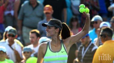 пик цвети пиронкова оставане групата едно добро постижение