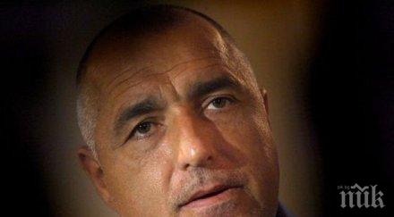 бойко борисов поздрави отличничка берковица снимка