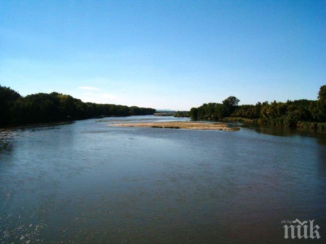 В Световния ден на влажните зони пловдивчани наблюдаваха водолюбиви птици по Марица