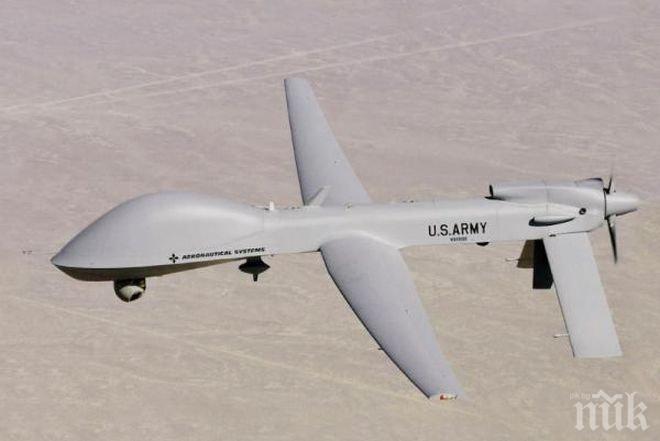 Находчивост! Учат соколи да нападат дронове в Холандия