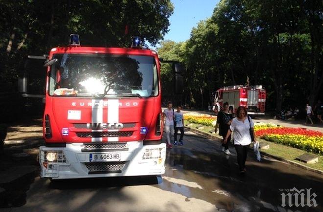 Огнен ужас в Раковски! Старица запали боклуци в двора си и се подпали! Жената е с 80% изгаряния и опасност за живота! 
