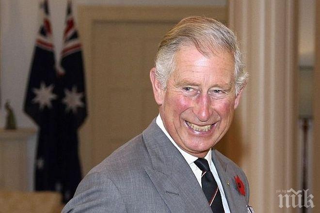 Изненада! Принц Чарлз е сред най-успешните живи британски художници