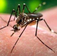  Норвегия ще отпусне 10 млн. крони за борба с вируса зика