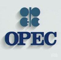 ОПЕК направи стъпки към извънредна среща за намаляване на производството 