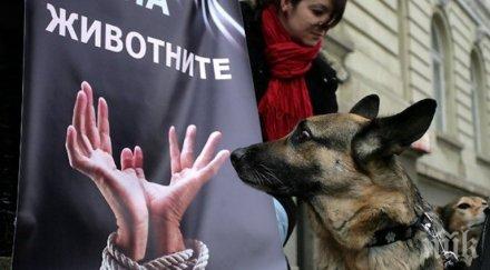 краен срок създаване зоополиция