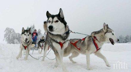 планинари откриха трупа изчезналата учителка