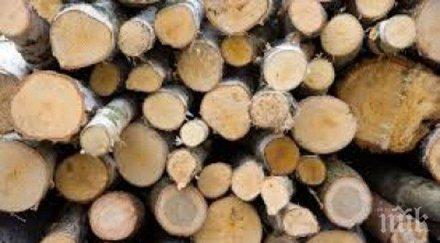 иаг незаконна сеч местността момчов гьол царево