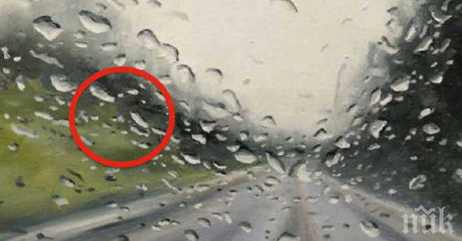 На пръв поглед това прилича на снимка, на която вали обилен дъжд. Истината скрита зад това? Не вярвам на очите си!