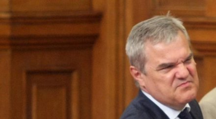 старите кучета румен петков овч бсп