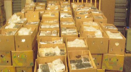 супермаркети белгия получили банани кокаин