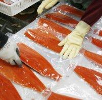 Норвежци строят завод за обработка на сьомга в Айтос